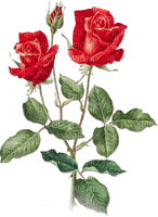 soave deco rose branch vintage red green - δωρεάν png
