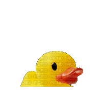 rubber ducky - GIF animate gratis