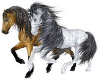 chevaux - 免费PNG