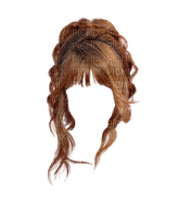 Cheveux - ücretsiz png