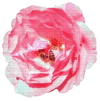 trandafir - ilmainen png
