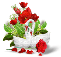 blommor- svanar--flowers--swans-red..röd - Free PNG