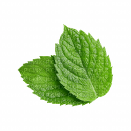 Peppermint - zdarma png