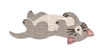 gray cat sticker - png grátis