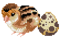 quail pixel art - Nemokamas animacinis gif