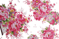 Flower frame - png grátis