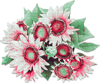 soave deco flowers sunflowers pink green - PNG gratuit
