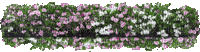 Pflanze - Gratis animerad GIF