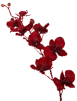 Red.Flower.Fleur.Deco.Victoriabea - Zdarma animovaný GIF