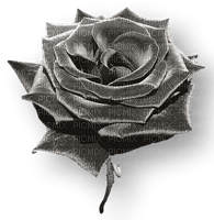 Flower.Silver.Gris.Rose.Fleur.Victoriabea - PNG gratuit