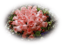 patymirabelle fleurs rose - png ฟรี