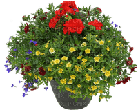 Blumentopf - besplatni png