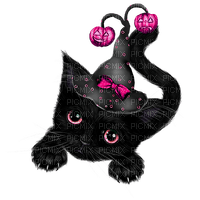 Cat.Witch.Black.Pink - zdarma png