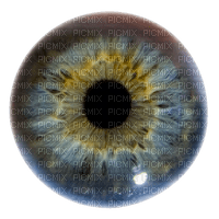 eyes anastasia - png ฟรี