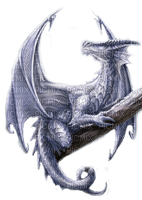 winter dragon by nataliplus - 無料png