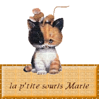 la p'tite souris Marie - Бесплатный анимированный гифка
