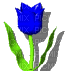 Tulipe bleue qui se balance - GIF animé gratuit