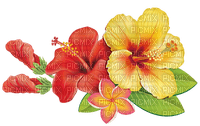 All My Flowers - PNG gratuit