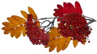 autumn leaves bp - δωρεάν png