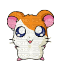 Hamster qui danse - 無料のアニメーション GIF