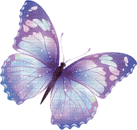 BUTTERFLY BLUE PINK