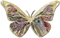 dulcineia8 borboletas - 無料のアニメーション GIF