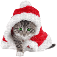 Christmas Cat - nemokama png