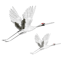 cranes  Bb2 - PNG gratuit