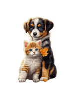 chats et chien - 免费PNG