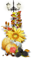 soave deco vintage autumn pumpkin lamp flowers - PNG gratuit