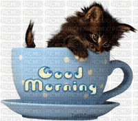 Good Morning cat - GIF animado grátis