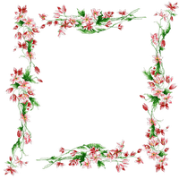 cadre fleur flower frame - ücretsiz png