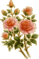 Roses - 免费动画 GIF