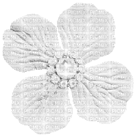 White Animated Flower - By KittyKatLuv65 - Free animated GIF