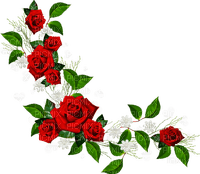 red roses Bb2 - nemokama png