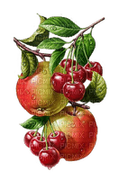 pomme - Free PNG