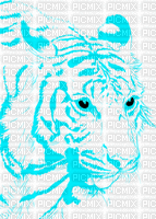 tigre ( - GIF animado grátis