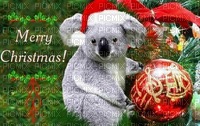 Christmas in Australia bp - gratis png