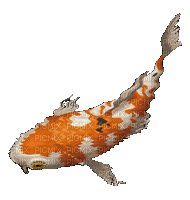 Рыба - Bezmaksas animēts GIF