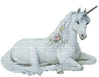Unicorn 1 - Darmowy animowany GIF