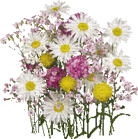 Blumen, Flowers - Bezmaksas animēts GIF