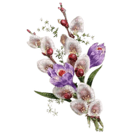 virág - png grátis