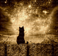 Katze auf der Mauer - Zdarma animovaný GIF