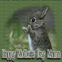 Happy Mothers day mama - Animovaný GIF zadarmo