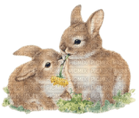 Ostern paques easter - 無料png