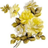 Garda Lake Flower  Rose - Free PNG