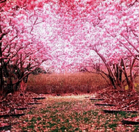 Rena Kirschbäume pink Hintergrund - gratis png