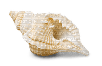 sea shells bp - darmowe png