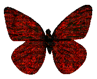 dark-red butterfly - GIF animate gratis