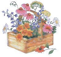 caisse fleur - GIF animé gratuit
